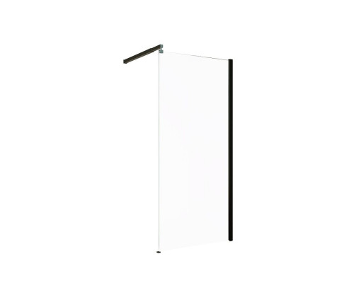 Душевая перегородка AB29120B1 Alex Baitler 120*200