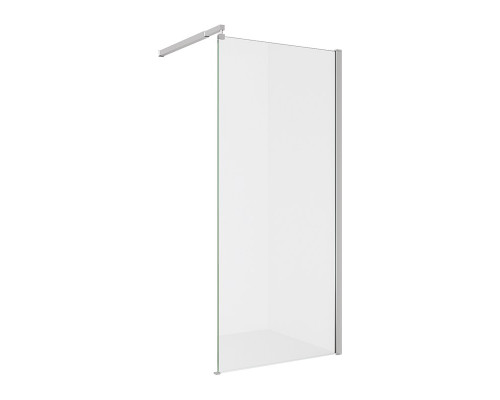 Душевая перегородка AB29100S1 Alex Baitler 100*200