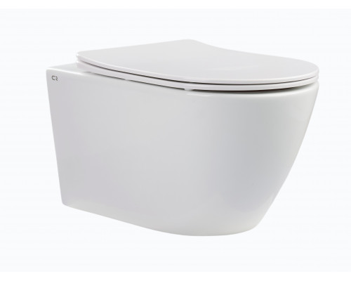 ESTELLA RIMLESS Безободковый подвесной унитаз CHARUS EWC700-121W