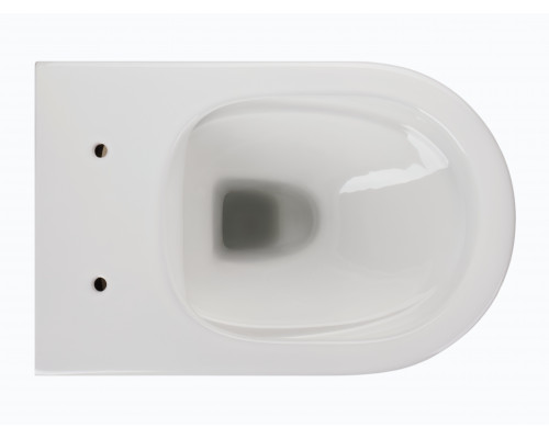 ESTELLA RIMLESS Безободковый подвесной унитаз CHARUS EWC700-121W