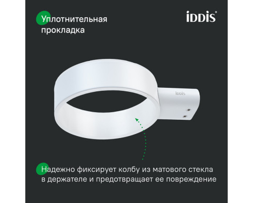 Ерш, нержавеющая сталь, Петит (Petite), белый матовый, IDDIS, PETWTSGi47
