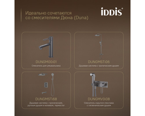 Бумагодержатель, нержавеющая сталь, Дюна (Duna), графит матовый, IDDIS, DUNSB00i43