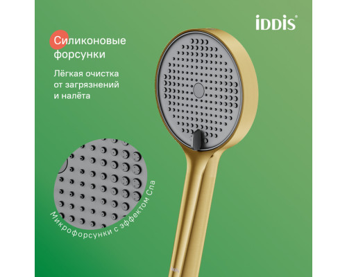 Лейка для душа, золото матовое, Эйгер (Aiger), IDDIS, AIG4FMGi18