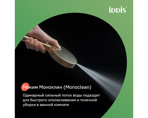 Лейка для душа, золото матовое, Эйгер (Aiger), IDDIS, AIG4FMGi18