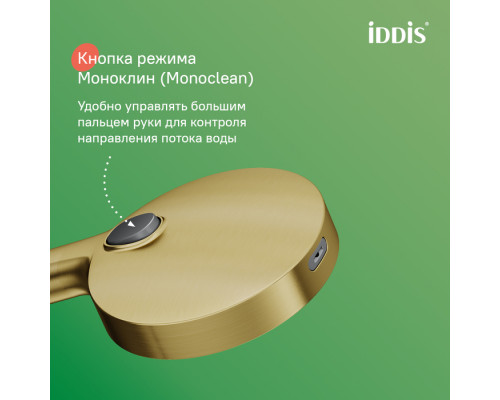 Лейка для душа, золото матовое, Эйгер (Aiger), IDDIS, AIG4FMGi18