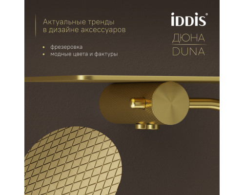 Бумагодержатель с полкой, нержавеющая сталь, Дюна (Duna), золото матовое, IDDIS, DUNMGC0i43