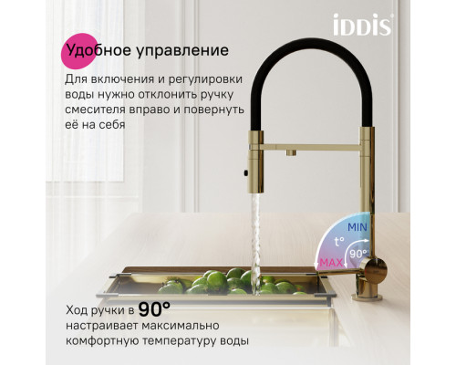Смеситель для кухни с фильтром и гибким изливом, матовое золото, Эйс (Ace), IDDIS, ACEMGFFi05