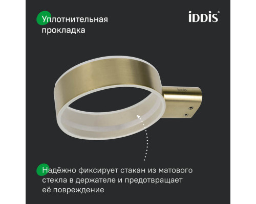 Стакан для зубных щеток, нержавеющая сталь, Петит (Petite), золото матовое, IDDIS, PETG0SGi45