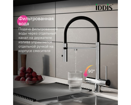 Смеситель для кухни с фильтром и гибким изливом, хром, Эйс (Ace), IDDIS, ACESBFFi05