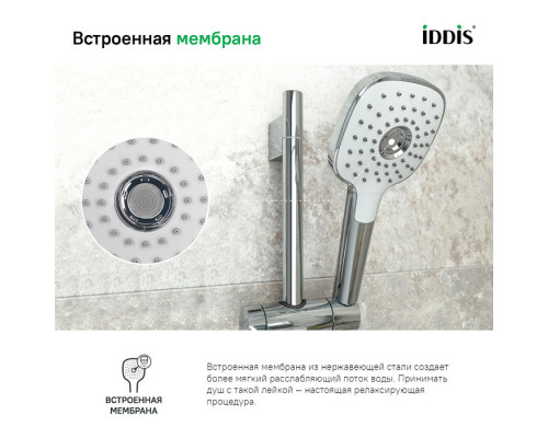 Лейка для душа, Сена (Sena), IDDIS, SEN3F00i18