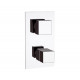 Смеситель термостатический для душа Remer Q-Elegance QT937