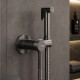 Мюриц (Muritz) 9838GR Смеситель с гигиеническим душем WasserKRAFT