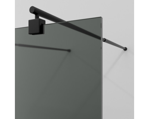 Фехте (Vechte) 60W44MB-TG Душевая перегородка WasserKRAFT