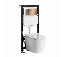 Аллер (Aller) 10TLT.010.ME.RG02.H002 Система инсталляции с унитазом WasserKRAFT