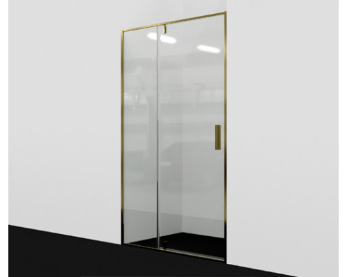 Aisch 55P12 Душевая дверь WasserKRAFT 100x200