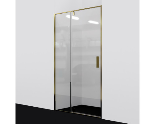 Aisch 55P12 Душевая дверь WasserKRAFT 100x200
