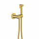 Рейн (Rhein) 9938PG Смеситель с гигиеническим душем WasserKRAFT