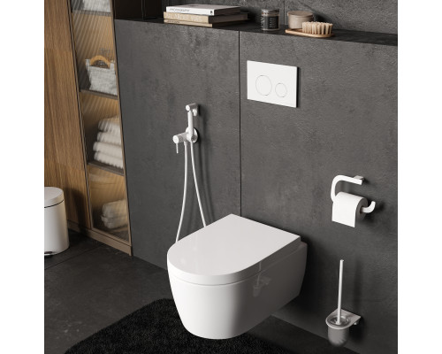 Dinkel 58TLT.010.ME.WM02 Система инсталляции для унитазов WasserKRAFT