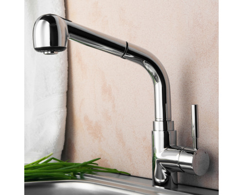 Main 4166 Смеситель для кухни WasserKRAFT
