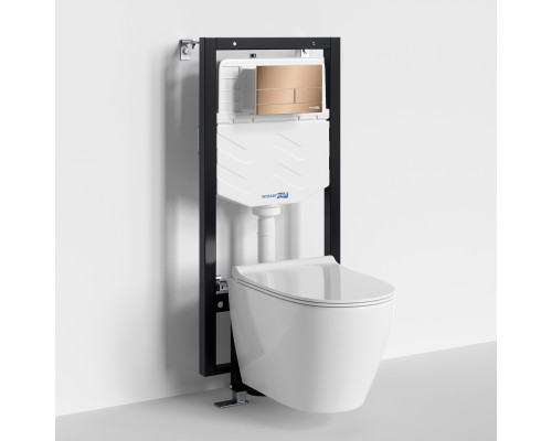 Фильс (Vils) 56TLT.010.ME.RG04.H002 Система инсталляции с унитазом WasserKRAFT