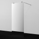 Фехте (Vechte) 60W44GR-MR Душевая перегородка WasserKRAFT