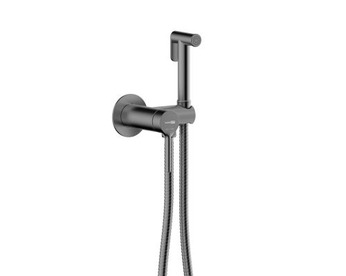 Рейн (Rhein) 9938GR Смеситель с гигиеническим душем WasserKRAFT
