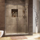 Lippe 45S45 Душевая дверь WasserKRAFT 160x190
