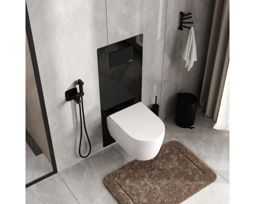 Abens 20TLT.010.ME.BL.MB02 Система инсталляции для унитазов WasserKRAFT