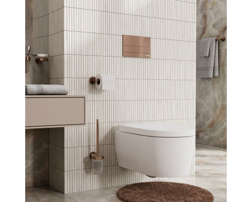 Динкель (Dinkel) 58TLT.010.ME.RG04 Система инсталляции для унитазов WasserKRAFT