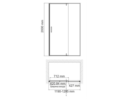 Elbe 74P05 Душевая дверь WasserKRAFT 120x200
