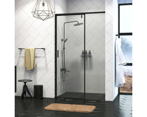 Elbe 74P05 Душевая дверь WasserKRAFT 120x200