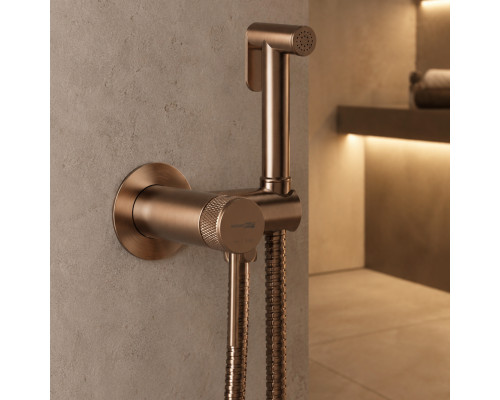 Мюриц (Muritz) 9838BRG Смеситель с гигиеническим душем WasserKRAFT