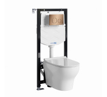 Аллер (Aller) 10TLT.010.ME.RG02.H001 Система инсталяции с унитазом WasserKRAFT