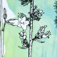 Диль (Dill) SC-39103 Шторка для ванной WasserKRAFT