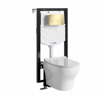 Фильс (Vils) 56TLT.010.ME.PG03.H001 Система инсталяции с унитазом WasserKRAFT