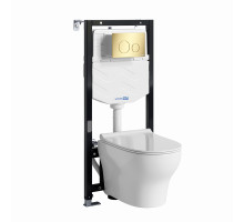 Аллер (Aller) 10TLT.010.ME.PG02.H001 Система инсталяции с унитазом WasserKRAFT