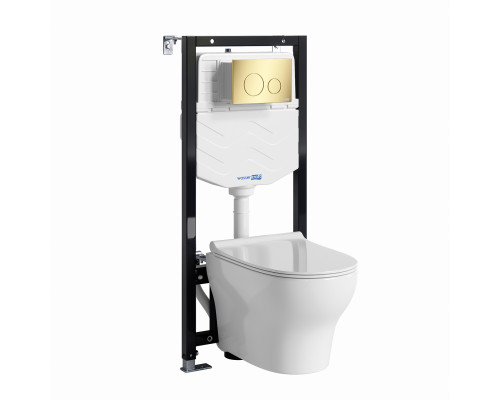 Аллер (Aller) 10TLT.010.ME.PG02.H001 Система инсталяции с унитазом WasserKRAFT